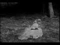 REINBO DOUBUTSU-SHIKI REINBO DOUBUTSU-SHIKI