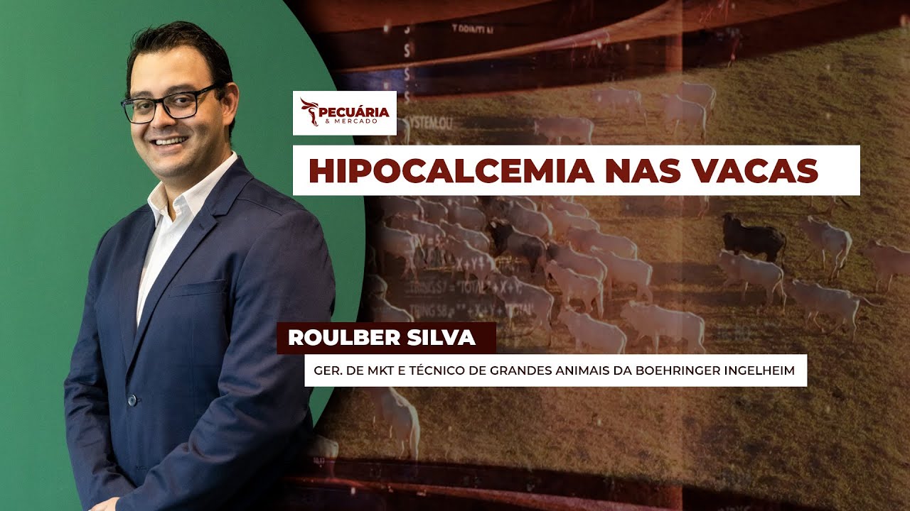 A hipocalcemia é um problema provocado pela falta de cálcio no pós-parto comprometendo produção...