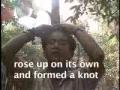 Rare clear view of Nepal Buddha Boy with interviews Rare clear view of Nepal Buddha Boy with interviews