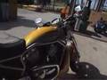 2006 VRSCR Street Rod V-Rod