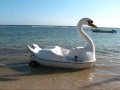Cuban Adventures: Strolling through the Resort