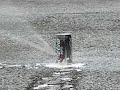 SPR Mk12 Mod 1 demo SPR Mk12 Mod 1 demo