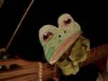 singer frog