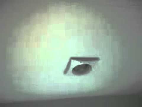how to get birds out of bathroom vent