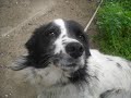 Videoclip Mirabela Dauer E bine, e bine