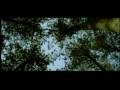 Anamorphose