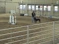 Erin and Tessa AKC Jumpers 11709 - Q