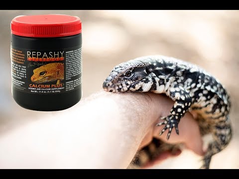YouTube reptile video