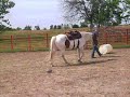 David and Tuffy's horse show 006.AVI
