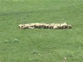 Stara Planina-deo u Opstini Pirot-3