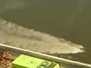 Vertidos subacu�ticos en el Manzanares