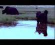 Tibetan songs...Tsem- Nang ge Rimo ---by Tsewang Lhamo