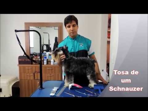 tosa