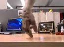 now that is skill !!!! now that is skill !!!!