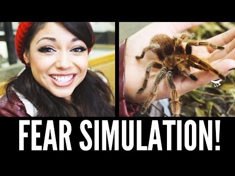 Fear Simulation... Charisma Star STYLE!