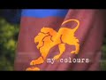 Brisbane Lions 2008 Membership Advertisement