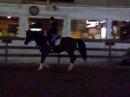 Irish Hopeful & Tiffany Rinehart