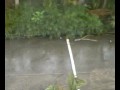 Video096.mp4