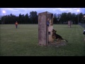 Preview video <strong>Renzo Giacomini con Orion della Zattera</strong>