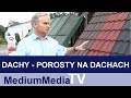 Oglądaj film