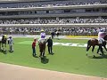 keiba horse race