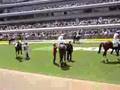 keiba horse race