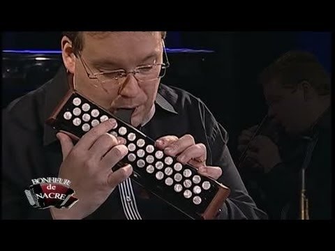 accordeon - Sites webs/blogs, copiez cette vidéo avec le bouton