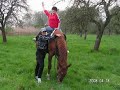 villy-boy-viktori.html