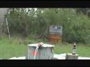 Gun Play, Mindless Self Indulgence - Shut me up!