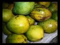 Feira de Caruaru -  Brasil