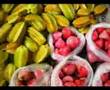 Feira de Caruaru -  Brasil