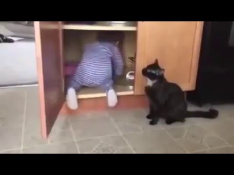 YouTube Трейлер