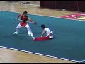 Kung Fu Sparring Routine