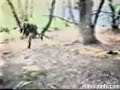 las caidas mas chistosas