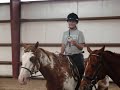 HORSES!!!! HORSES!!!!