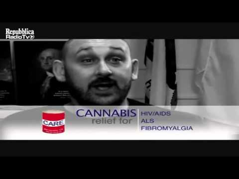 En EE.UU. se empezó a transmitir la primera propaganda a favor de la marihuana