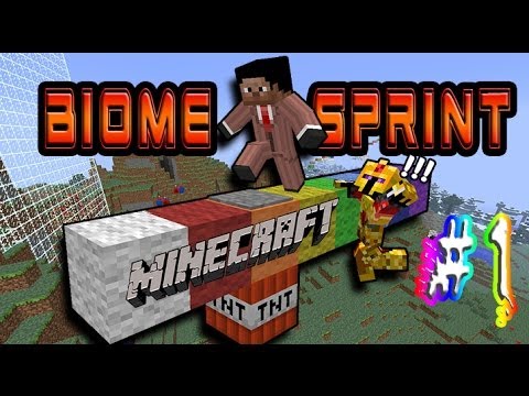 how to sprint i minecraft