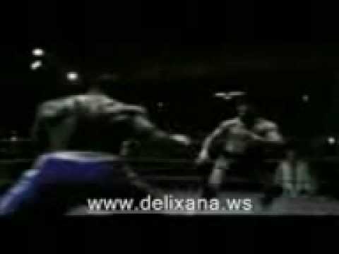 doyus - qaydasiz doyus.