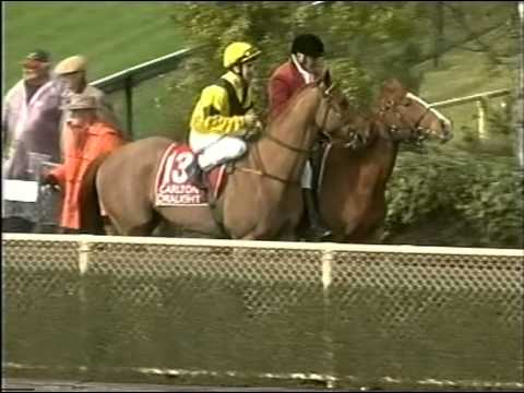 horse racing