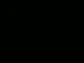 videos de llegando del coco...