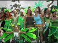 Political Cannabis - Pt. 2_c  Breast Cancer Naturopathy