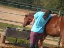 Ester & i els cavalls