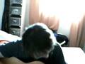 videos de 8 jours apres ma 1ere video ^^'.