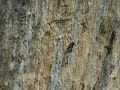 Climbing Costa Blanca Wild Side Elgremio 7c+ Paul Lahaye Climbing Costa Blanca Wild Side Elgremio 7c+ Paul Lahaye
