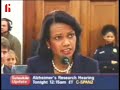 Condoleezza Rice Avoiding The Truth Condoleezza Rice Avoiding The Truth