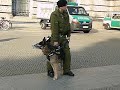 Hundestaffeln auf der Freiheit Statt Angst Demo 2008 in Berl