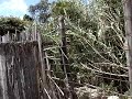 Mannena Arzachena Pulizia Spiagge Legambiente