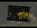 Frames ProShow Frames ProShow