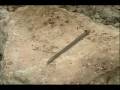 videos de Garrett Infinium LS metal detector Intructional Video Part II for treasure hunting, gold nugget prospecting, cache and relic hunting, underwater diving