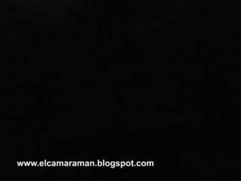 El robo de la dama de elche